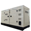 Mute Diesel Generator Sets